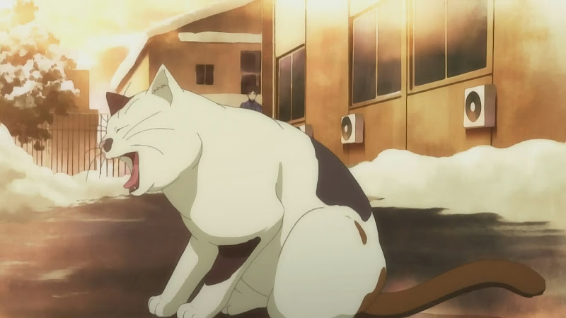 True Tears Episode 13: Meh-ta Cat YAWNS!