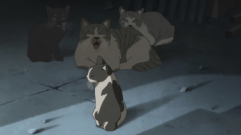 Natsu no Sora, Episode 2: Cats Natsu no Sora, Episode 2: Cats