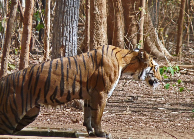 [P1030707 copy[4].jpg]