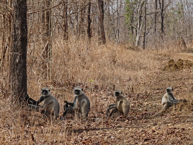 [P1030748 copy[4].jpg]