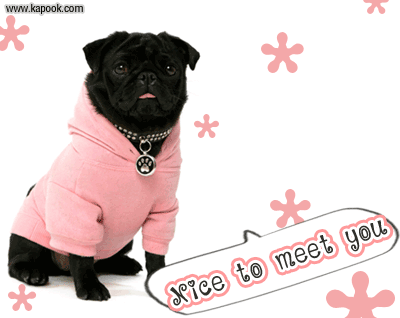 Glitter Graphic for Hi5 MySpace Orkut & Friendster click Here!!