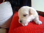 dsc05957.jpg