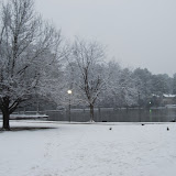 Winter 2010