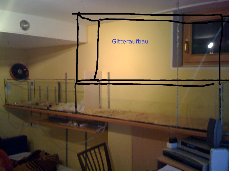 aufbau%20mäuse.JPG