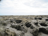 IMG_1141.JPG