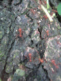 IMG_1153.JPG