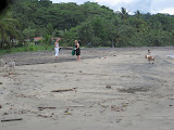 IMG_1240.JPG