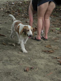 IMG_1215.JPG