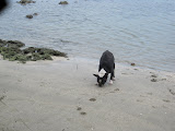 IMG_1231.JPG