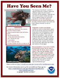 lionfish_fishing_flyer.jpg