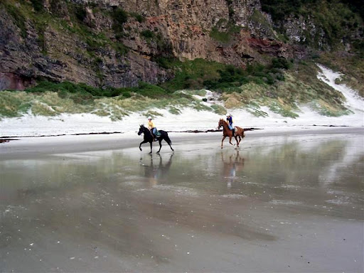Elsa and Ginger at Aramoana Beach