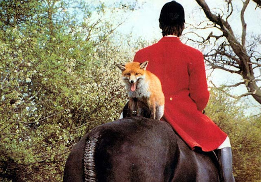 English Hunting