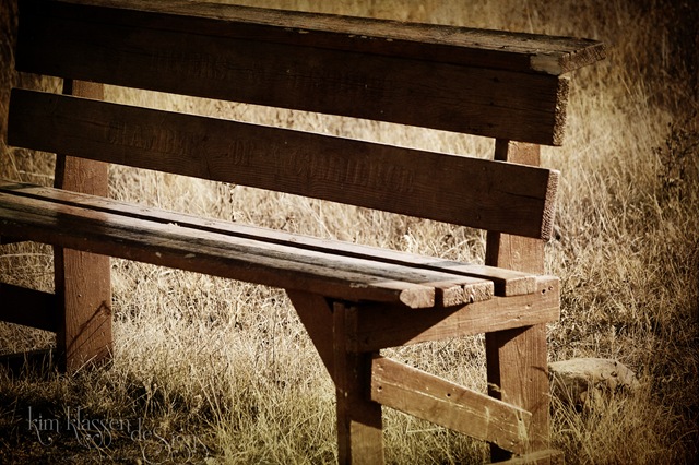 [benchsepia copy.jpg]