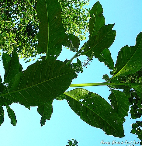 [May 2010 016[16].jpg]