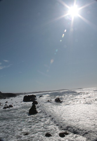 [AnniversarySonoma0116.jpg]