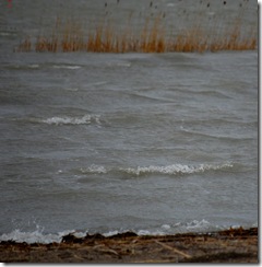 waves5