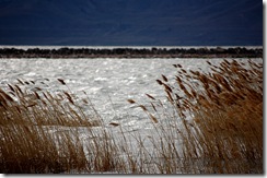 waves11