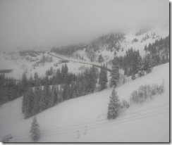 snowbird4