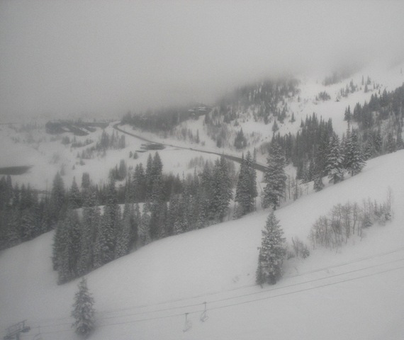 [snowbird42.jpg]