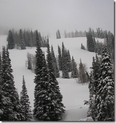 snowbird6