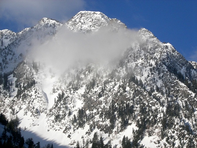 [snowbird82.jpg]