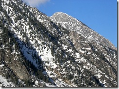 snowbird9