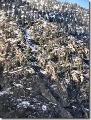 snowbird13