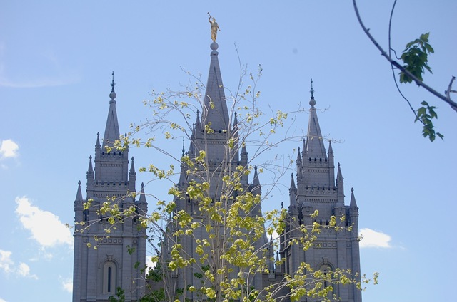 [sltemple552.jpg]