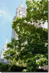 sltemple3