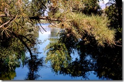 salemlake4