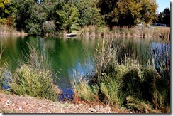 salemlake10