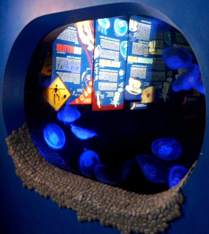 [aquarium321.jpg]