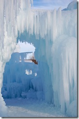 midwayicecastle26