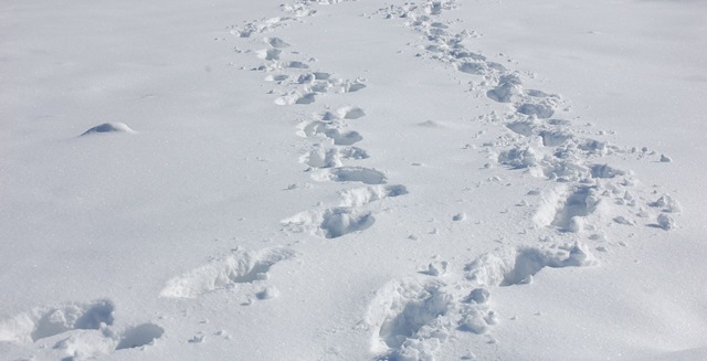 [snowypark7[2].jpg]