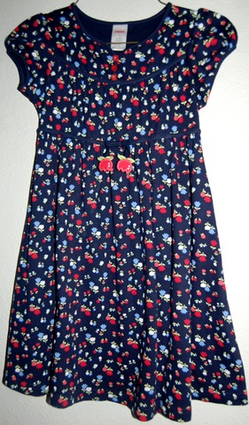 [hollanddresses42.jpg]