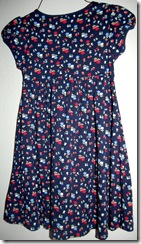 hollanddresses5