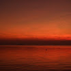 2008_01200011.JPG
