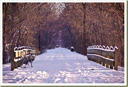 Constitution Trail 2010-12-5b