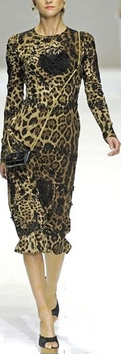 [dolce e gabbana5[2].jpg]