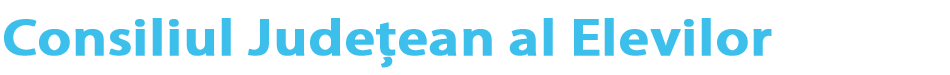 BloggerTheme