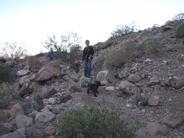 [Palm Canyon Ellie and the dogs[3].jpg]