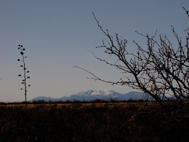 [Huachuca Mtns[4].jpg]