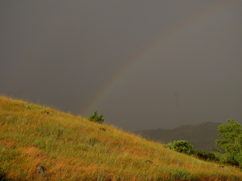 [July rainbow[2].jpg]