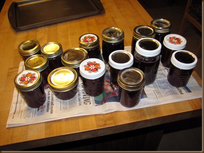 Chokecherry Jam & Syrup