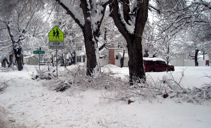 [snow[3].jpg]
