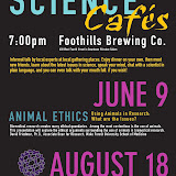 Summer Series