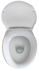 toilet bowl