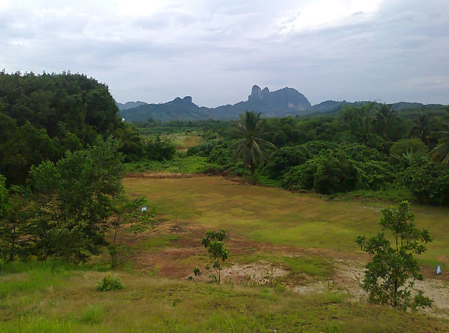 รูปภาพ