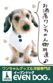 EVEN DOG