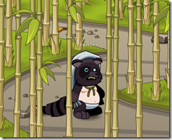 tanuki